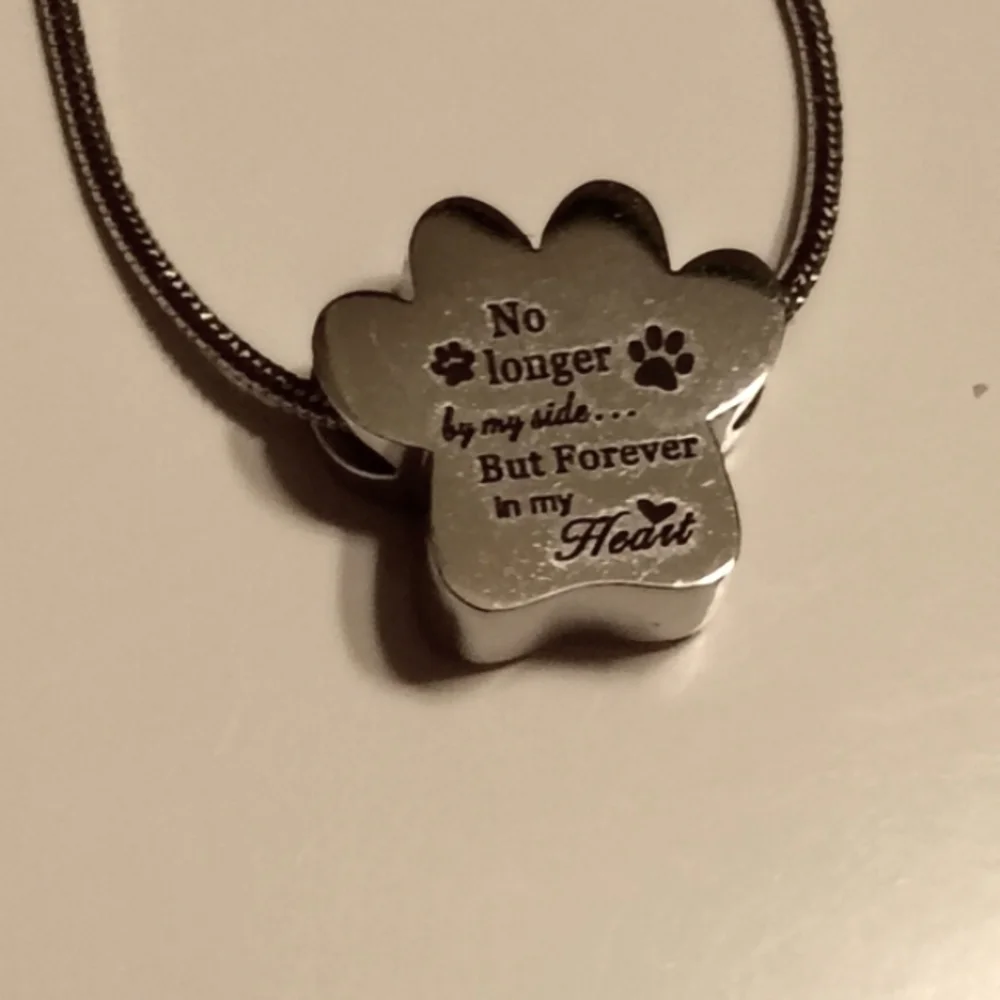 Silver Paw Print Pet Memorial Pendant Necklace